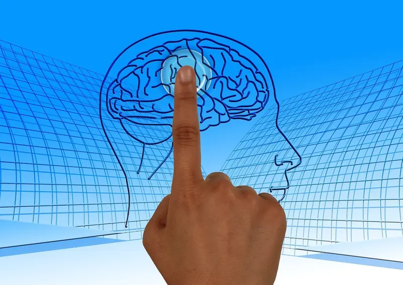 The human brain has grown larger: how has this affected cognitive health?