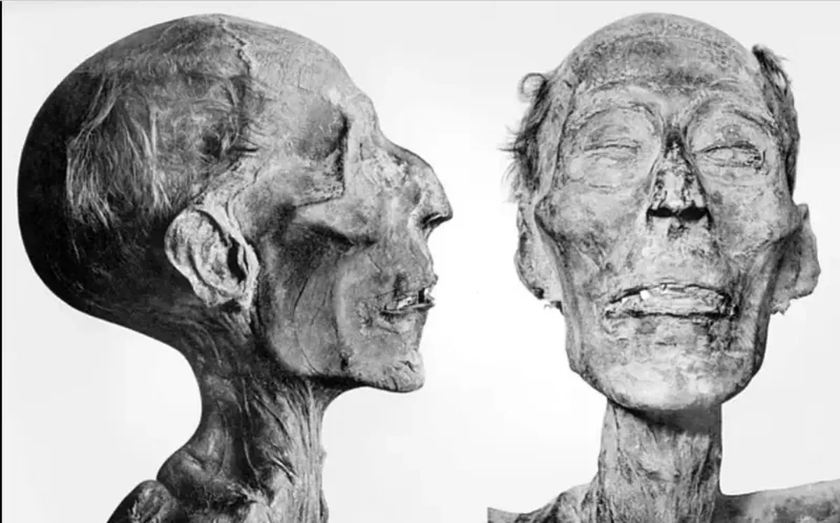 The wise visage of the greatest: scientists have reconstructed the face of 90-year-old Ramses II.