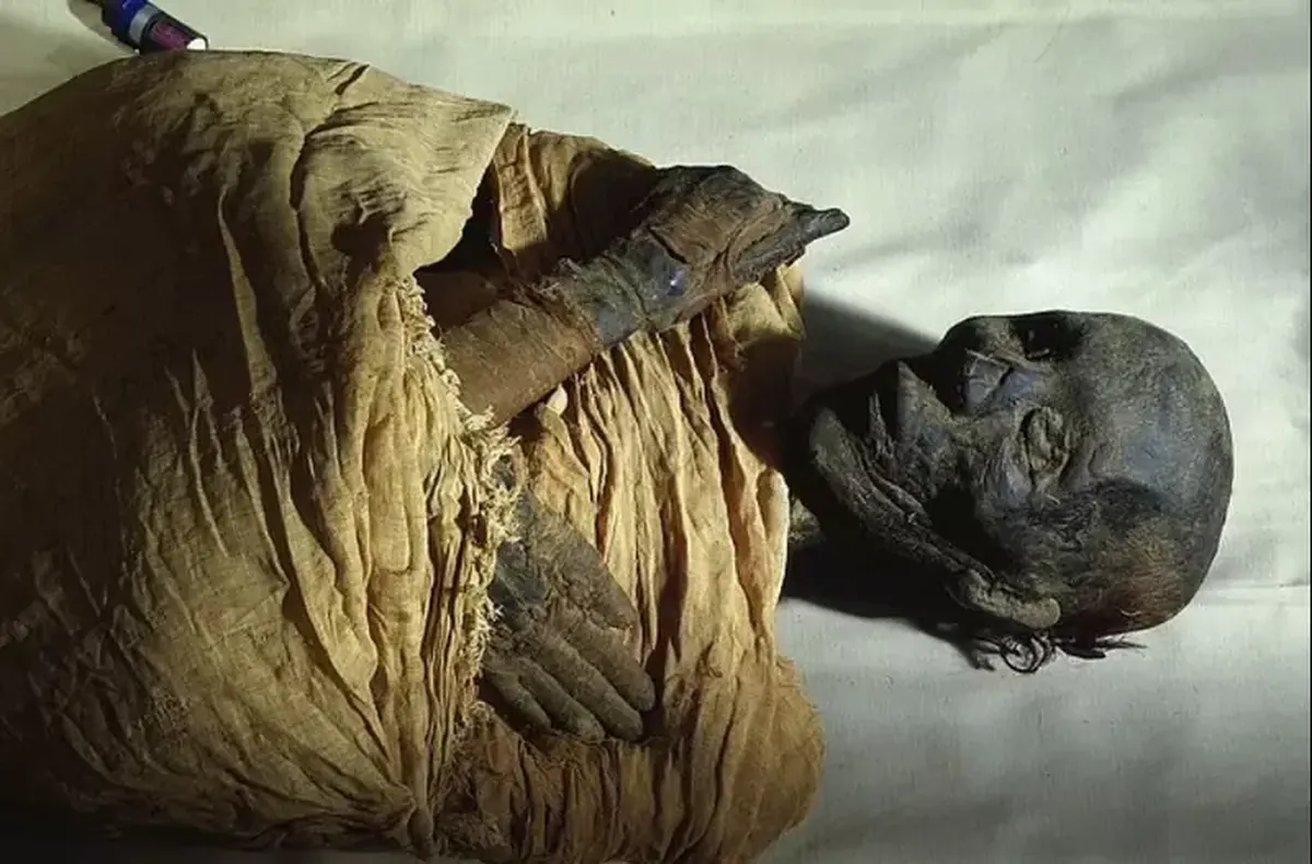 Near the recently discovered tomb of the pharaoh, scientists have uncovered another one.