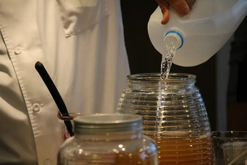 Jellyfish in a Jar: The Benefits and Harms of Kombucha