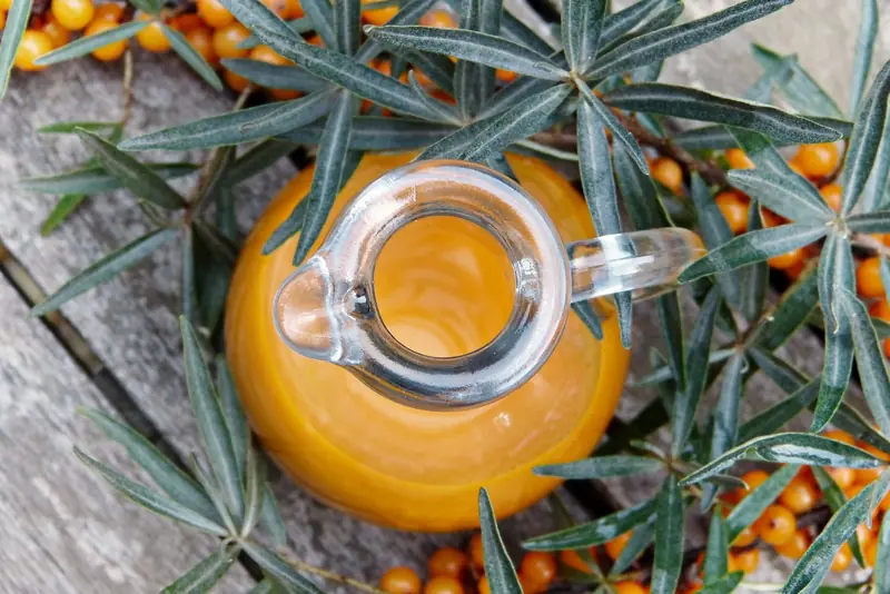 Sea buckthorn for winter: the value of 