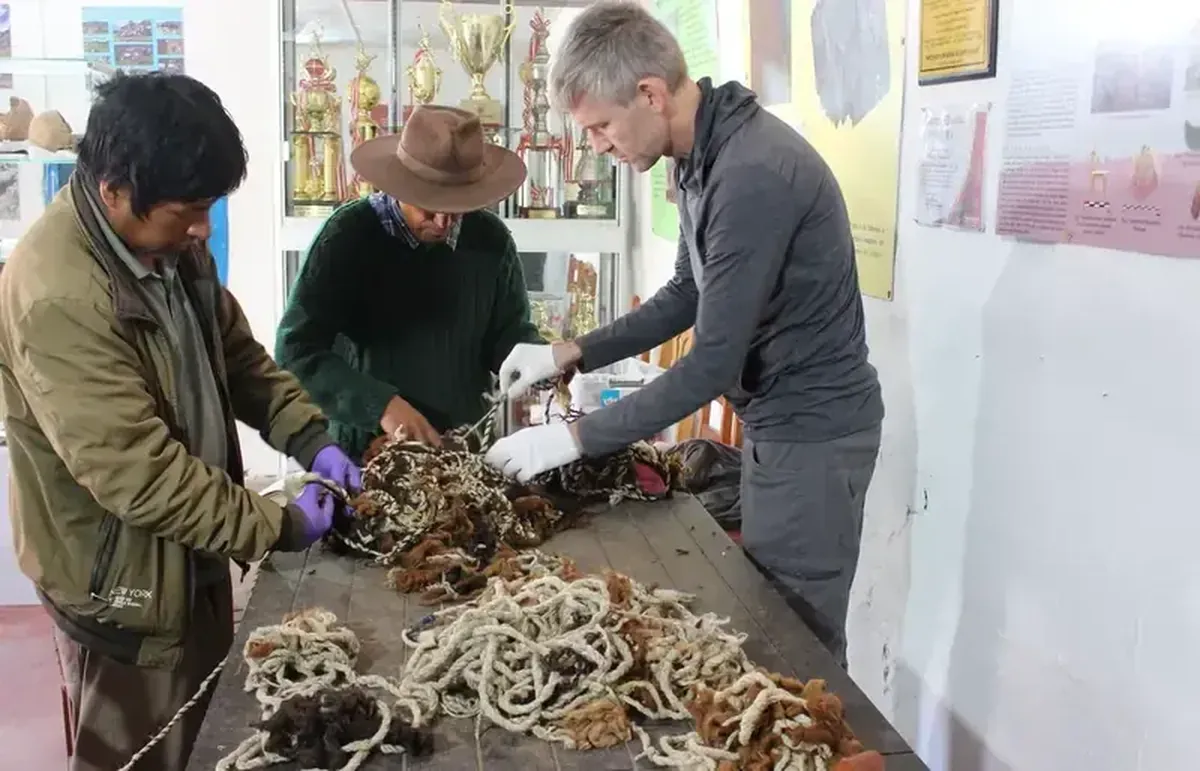 In the language of knots: a 68-meter message from the ancient Incas has been discovered in Peru.