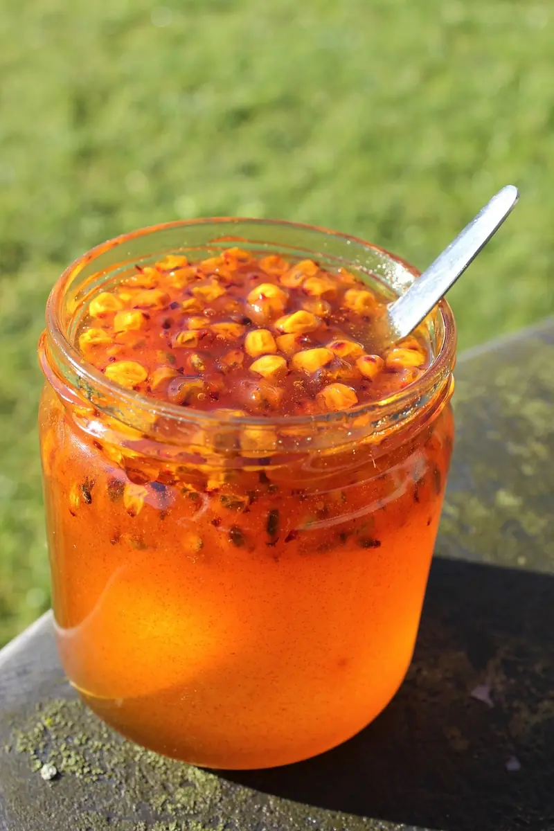 Sea buckthorn for winter: the value of 