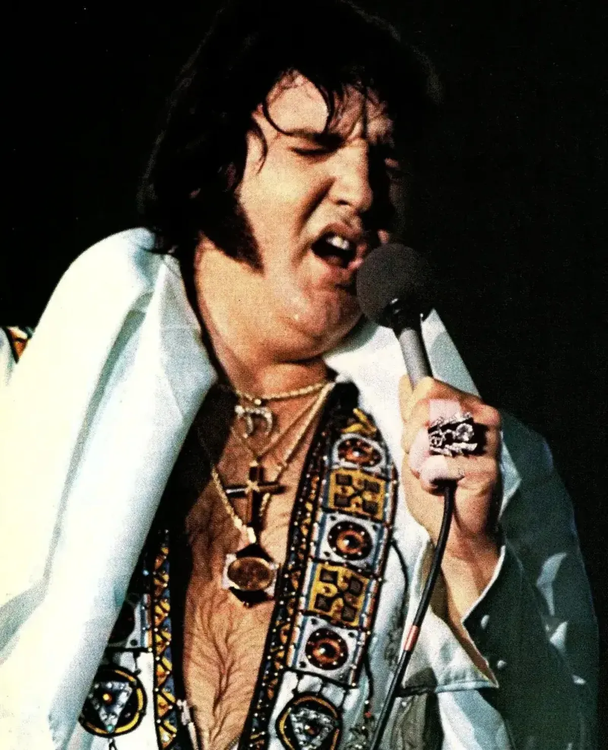 Elvis Presley: the new voice of America