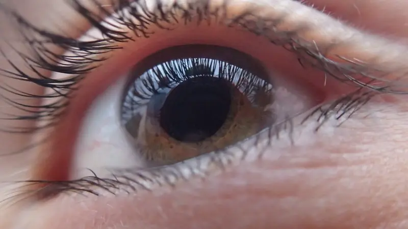 To look and to see!