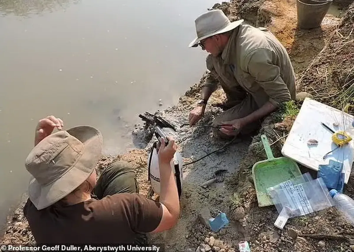 A wooden structure from the Stone Age: an incredible discovery in Zambia.