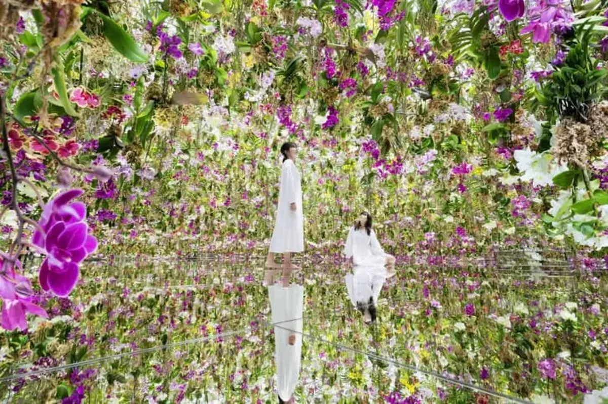 As if woven from glass: a new type of orchid has been unveiled in Japan.