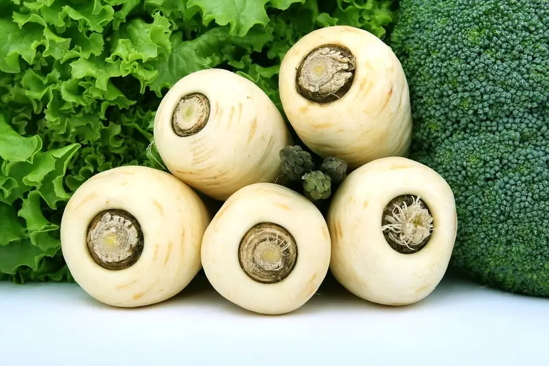 Parsnip: the 