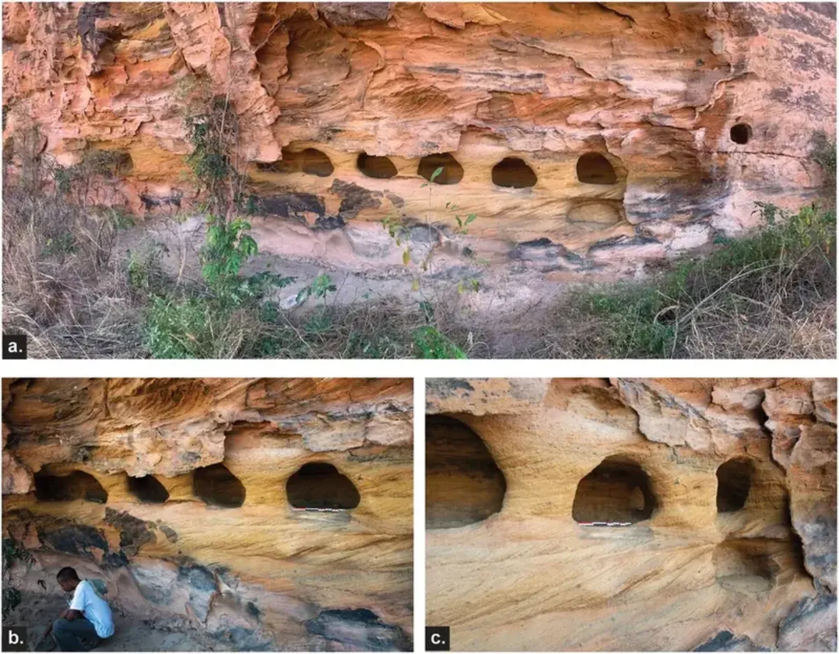 Who is the author of the mysterious rock niches of Madagascar?