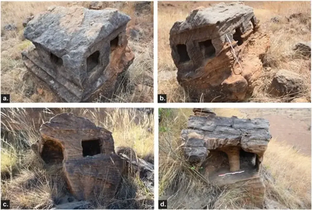 Who is the author of the mysterious rock niches of Madagascar?