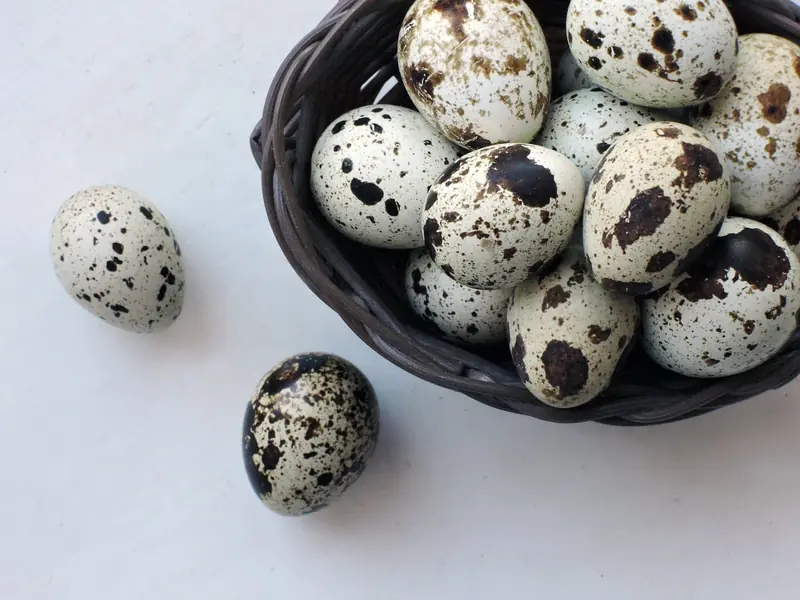 Cool or not: the truth and myths about eggs
