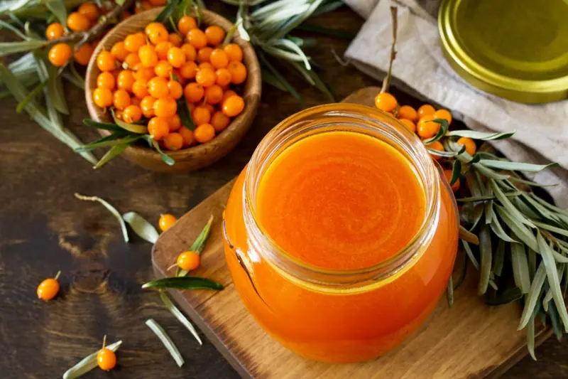 Sea buckthorn for winter: the value of 