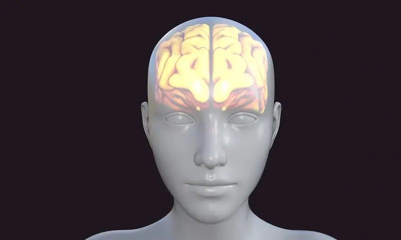 Loss of empathy is the first sign of frontotemporal dementia.