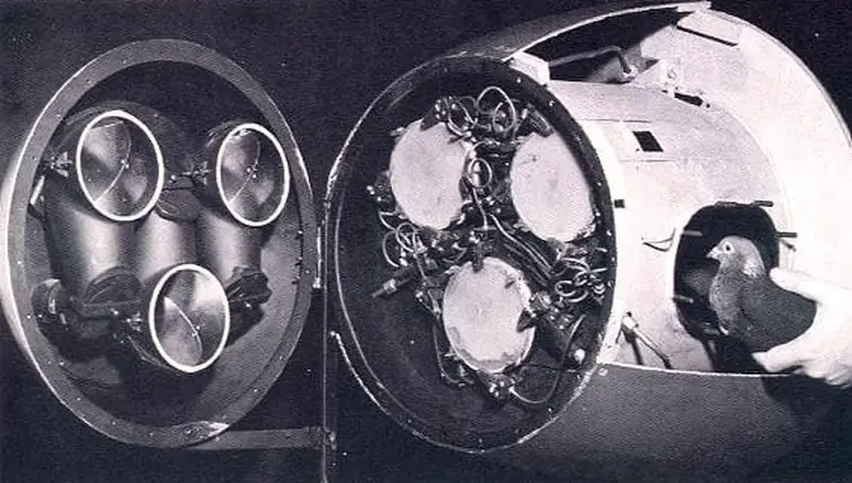 Military animals: spies, sappers, fighters, and kamikazes.