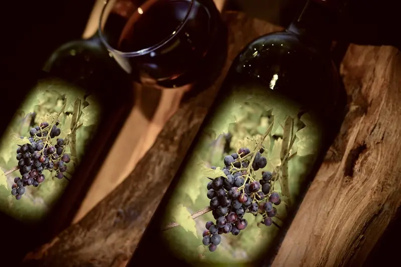 The killer of California wine arrived hitchhiking from New York.
