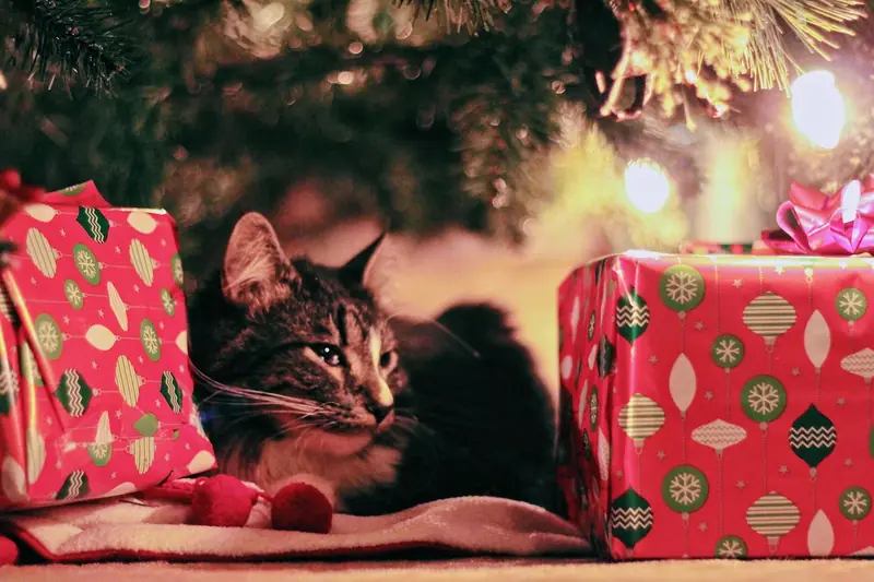 Gift recipients don't like extravagant packaging.