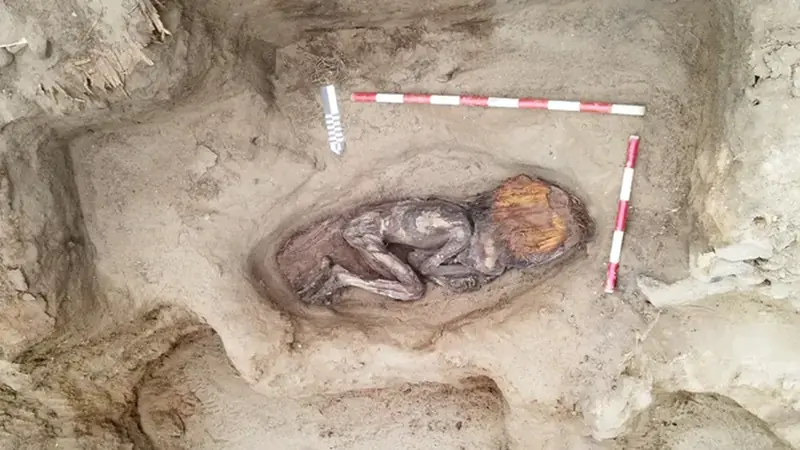 An ancient burial of a high-status woman has been discovered in Peru, dating back 5,000 years.