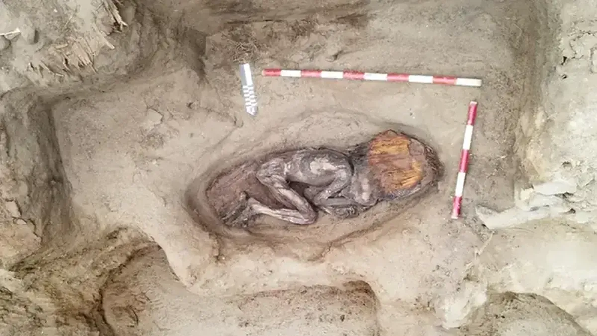 An ancient burial of a high-status woman has been discovered in Peru, dating back 5,000 years.