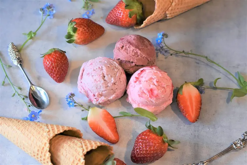 Ice Cream Day: The Taste of Cold