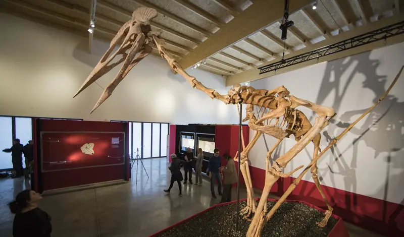A fossil of a winged Dracula has been discovered in Transylvania.