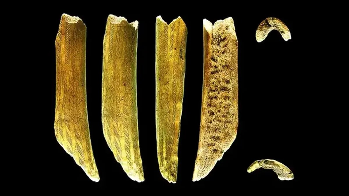 Adorned with patterns, a deer antler that is 7,500 years old has concealed its past.