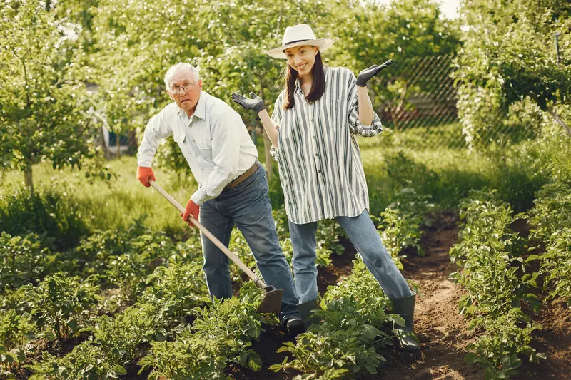 Everyday chores reduce the risk of cancer.