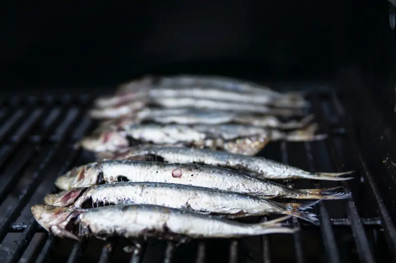 Eating and Rejuvenating: Key Foods to Combat Aging