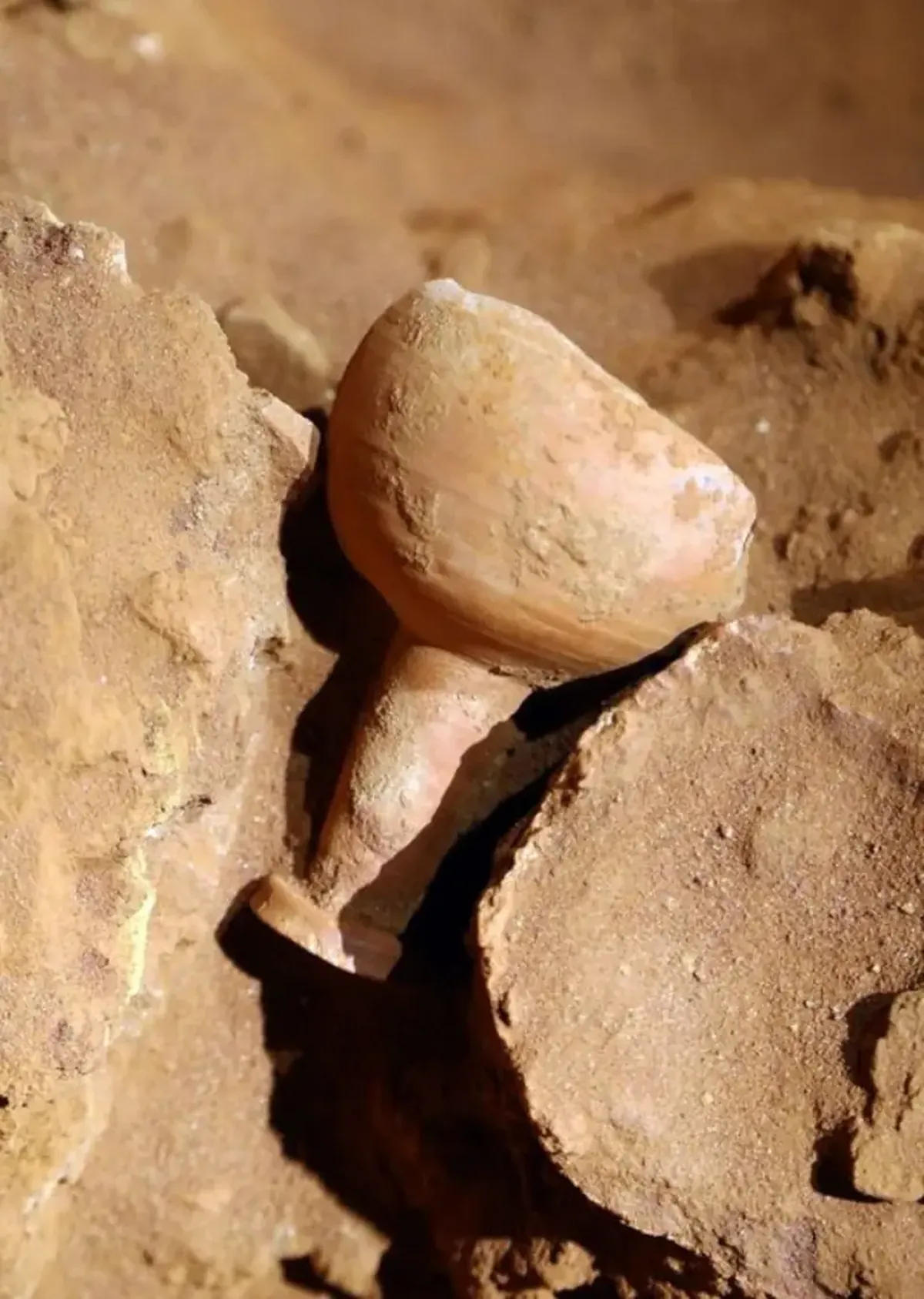 They were filming a movie about Indiana Jones there: a ground-penetrating radar discovered a secret tomb in Petra.