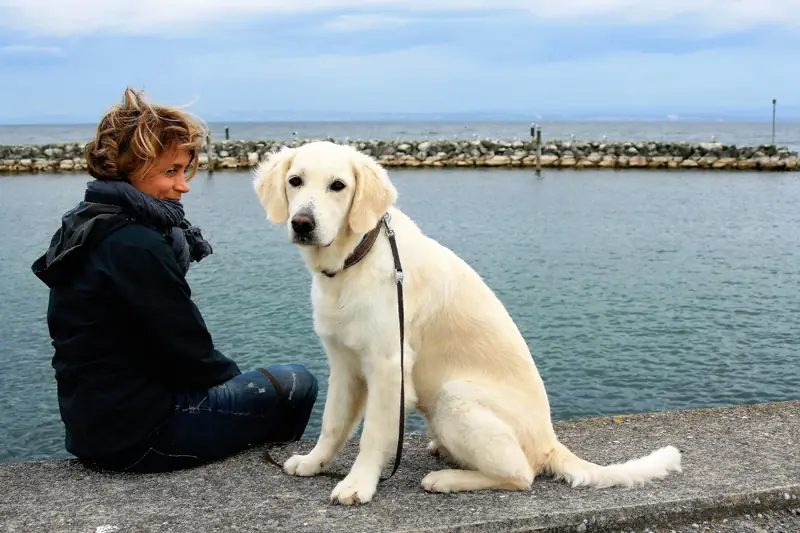 A selfie with a dog can save you from loneliness.