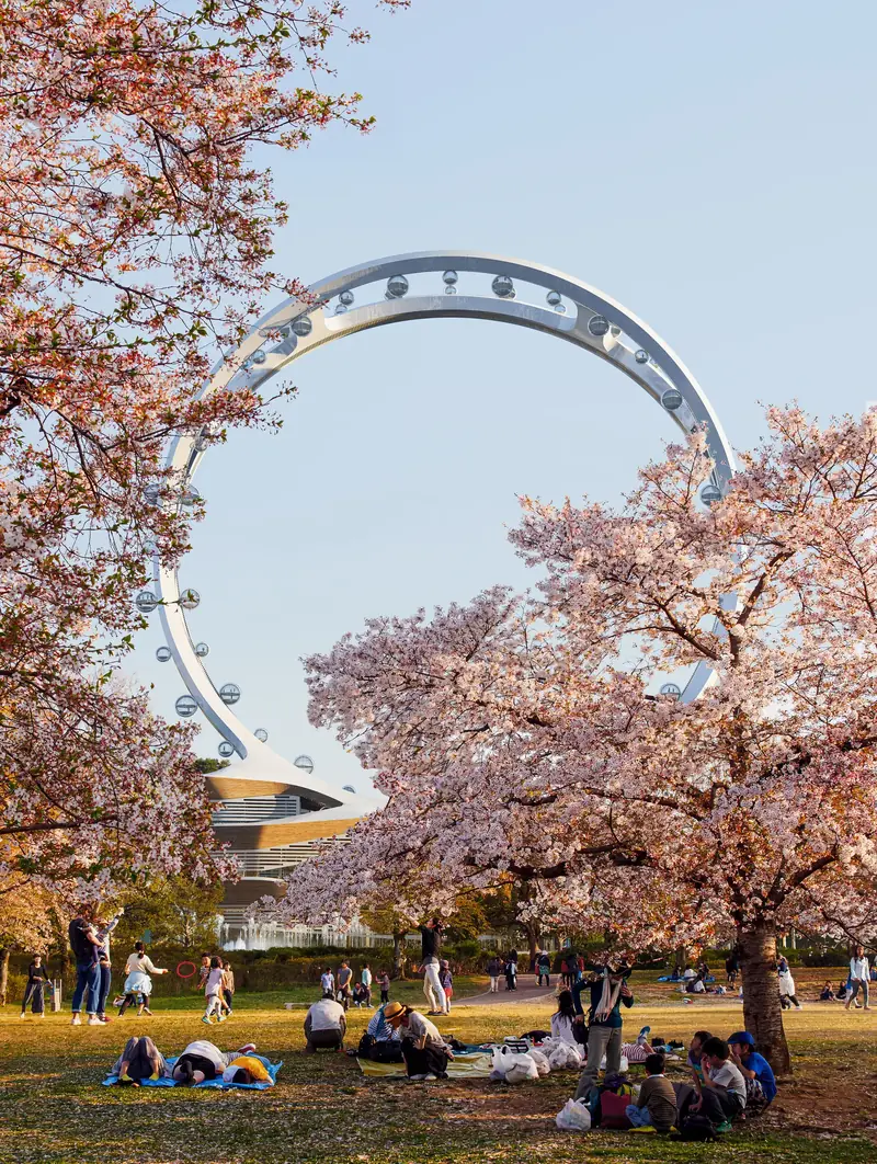 Seoul Twin Eye: The world's tallest spoke-less Ferris wheel will be built in Seoul.