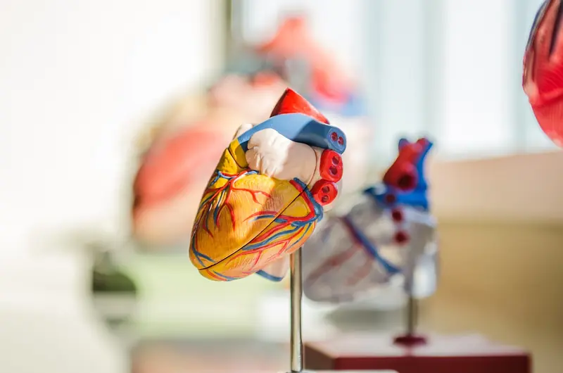 How many times does a person's heart beat in a lifetime?