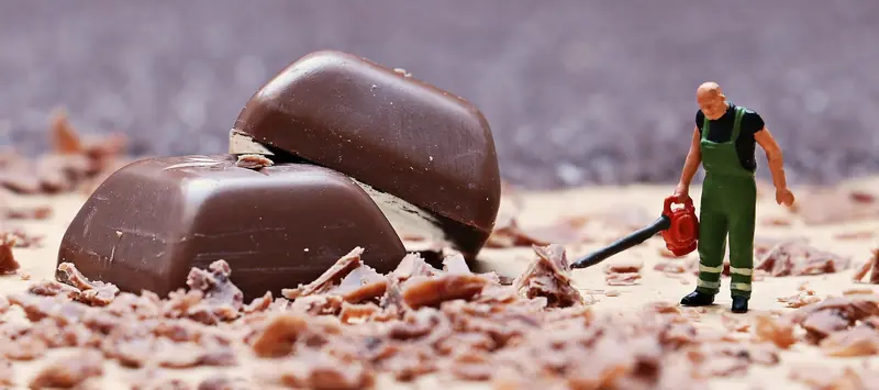 The effect of small portions: scientists have discovered a simple hack for weight loss.
