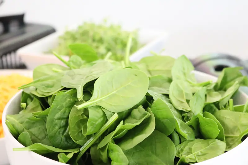 Spinach King: Enjoying it in winter