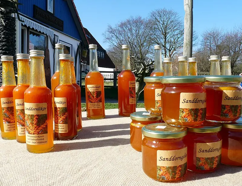 Sea buckthorn for winter: the value of 