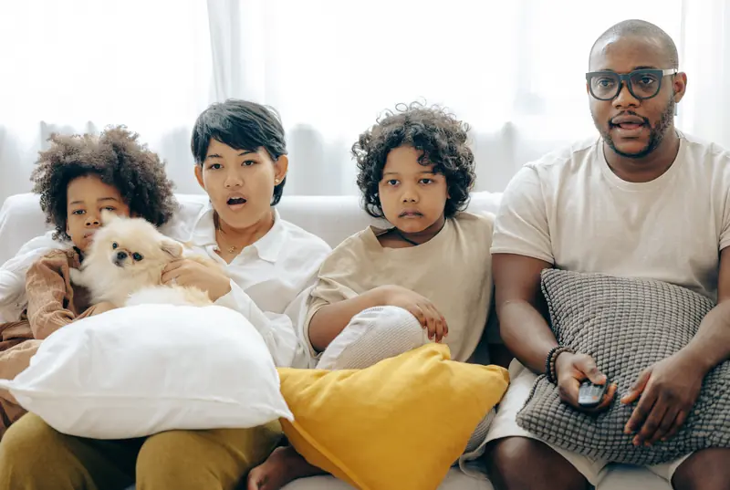 Dogs and humans both enjoy watching television, but their tastes are quite different.