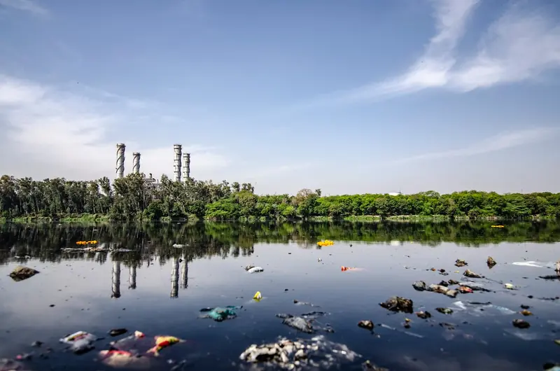 Top 5 types of waste that most often end up in the toilet.