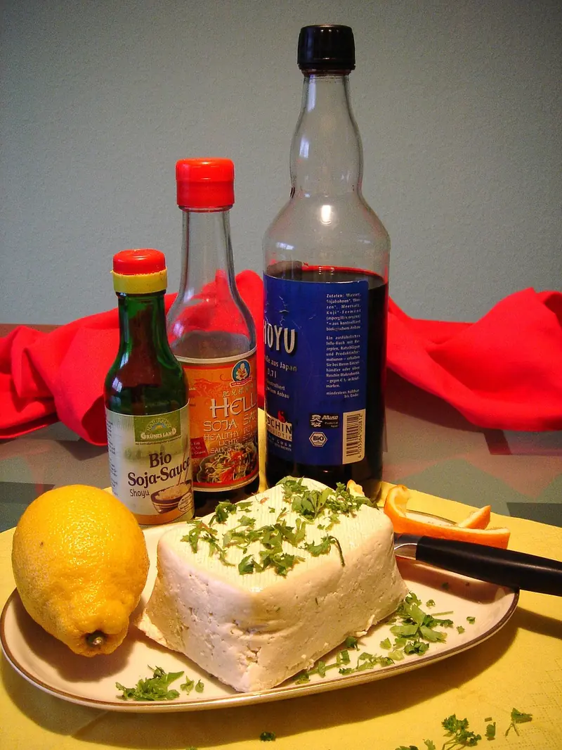 Fermented products: benefits and drawbacks