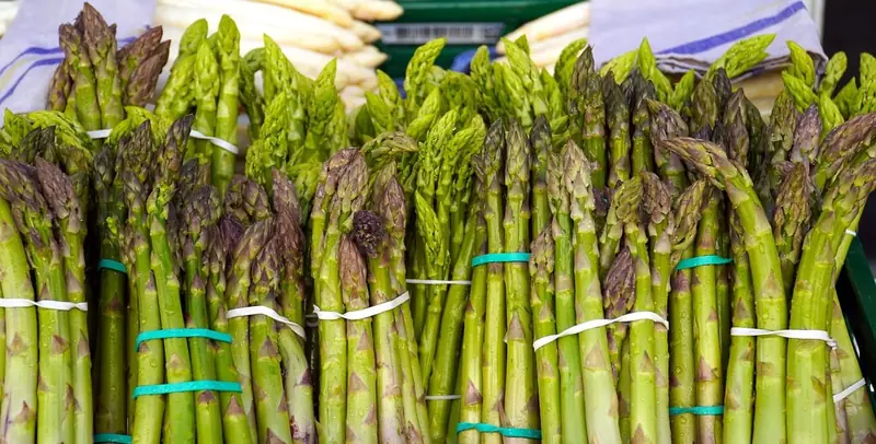 Asparagus – a sprout of health.