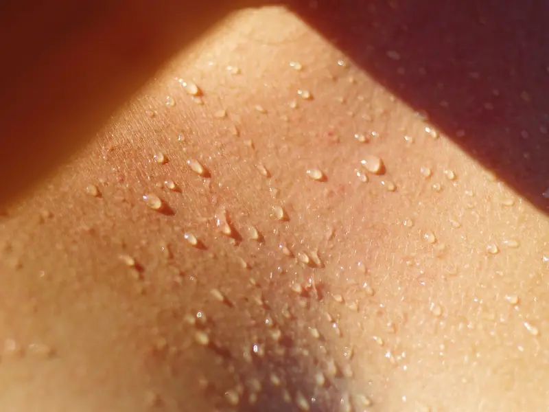 Why are humans not as hairy as other mammals?
