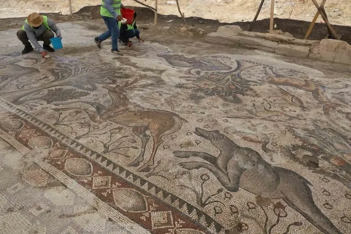 A Turkish farmer discovered an ancient mosaic floor. It's worth seeing.