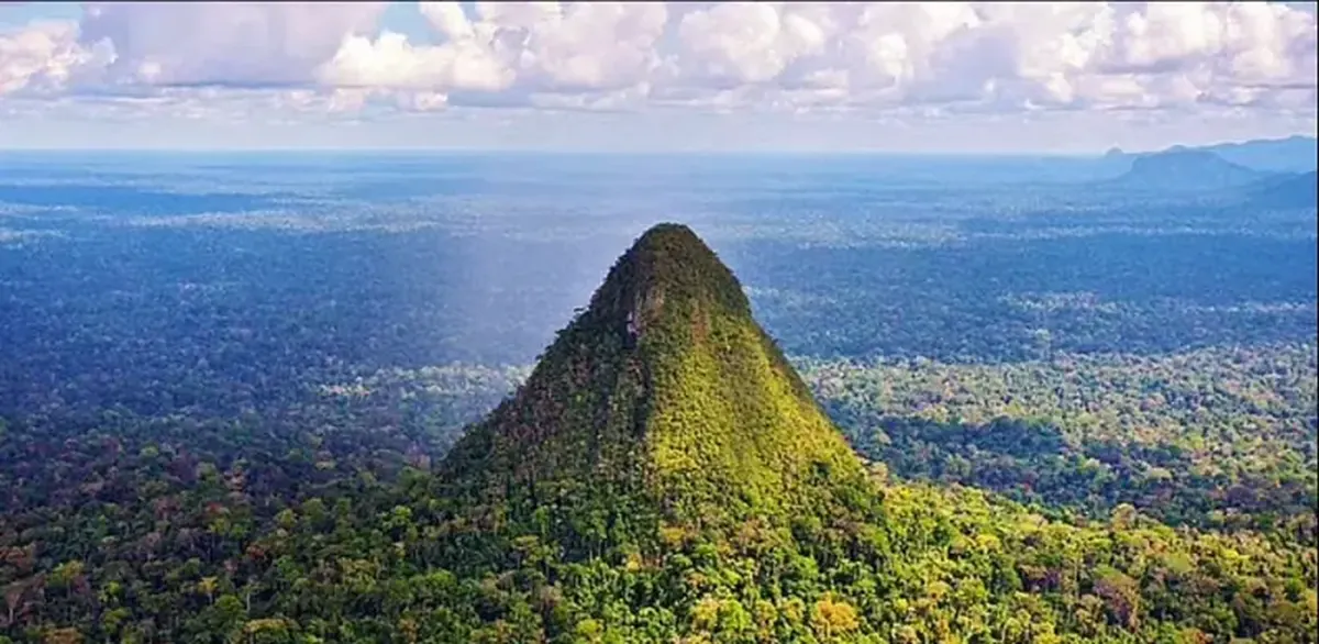 The sacred pyramid of the Amazon may be the tallest ancient structure in the world.