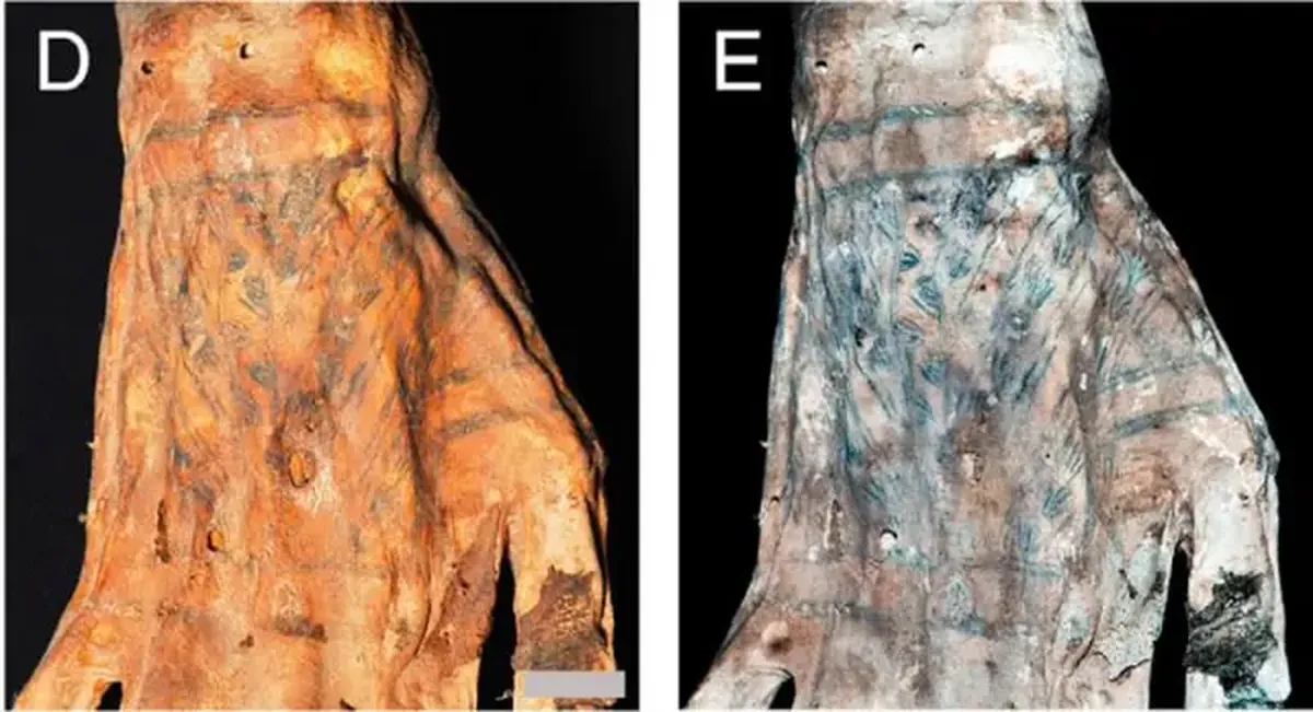 The tattoos on Peruvian mummies are very similar to modern ones, according to scientists.