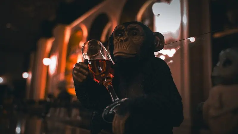 a monkey holding a glass of wine in it's hand