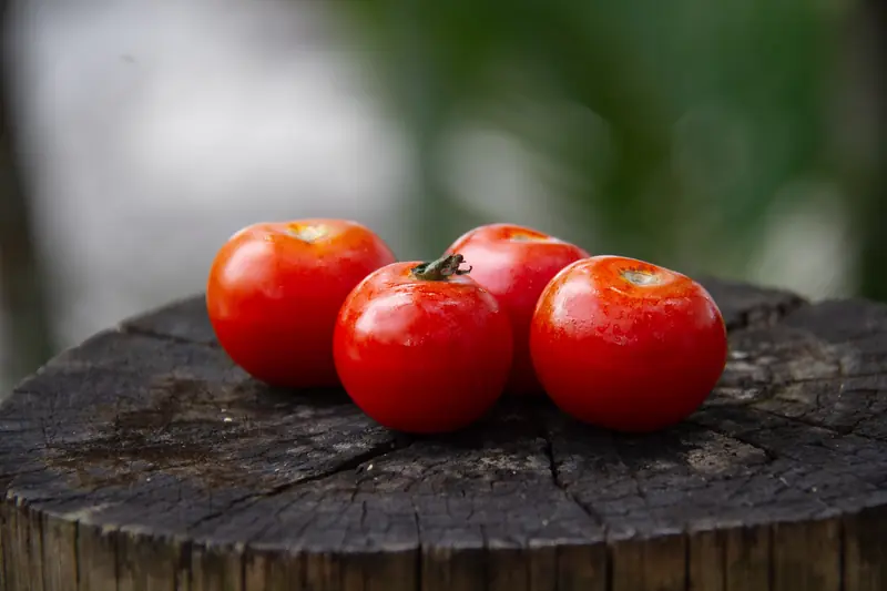 Eating and Rejuvenating: Key Foods to Combat Aging