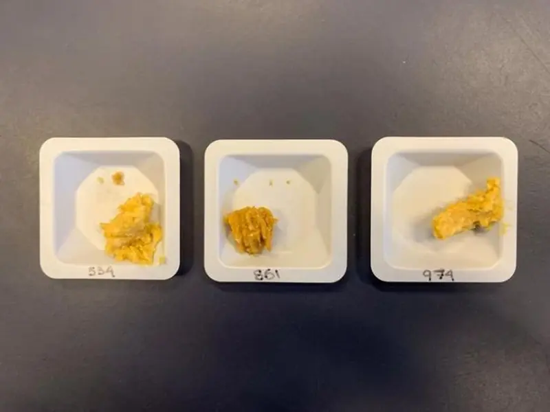 The legendary miso paste takes on a unique flavor in space.