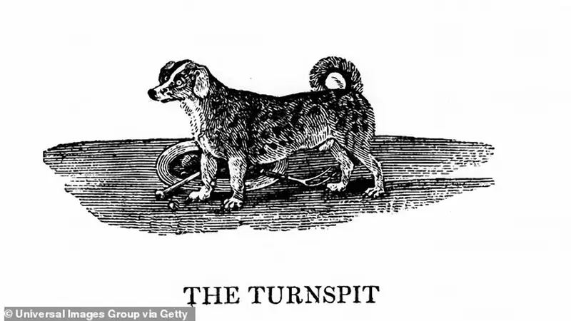 Lost in History: Amazing Dog Breeds That Have Disappeared Forever