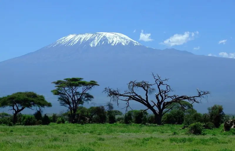 In Africa, food is healthier: Tanzanians have demonstrated the harmful effects of popular Western cuisine.