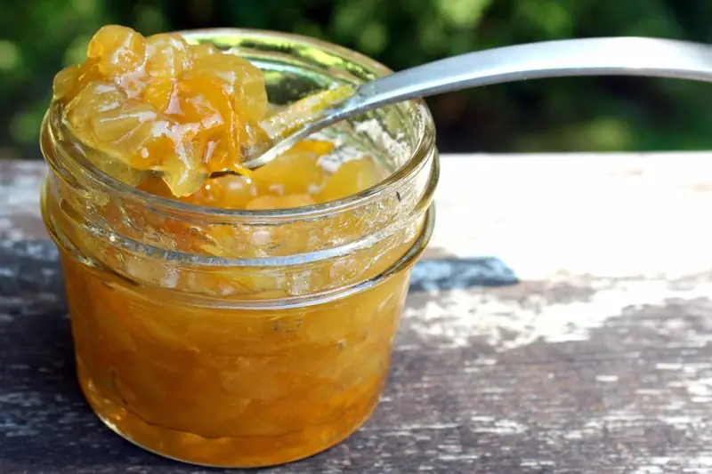 A sweet gift: melon is a present from Asia to Europe.