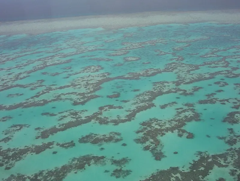 The Great Barrier Reef is experiencing a record loss of corals.