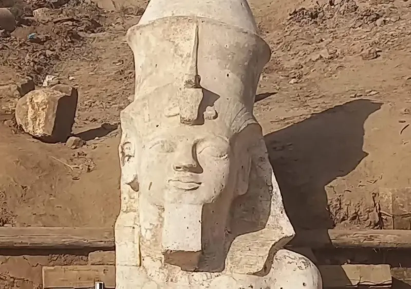 A discovery a century in the making: the upper part of a magnificent statue of Ramses II has been found in Egypt.